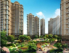 �ЊW�����ž�Ч���D