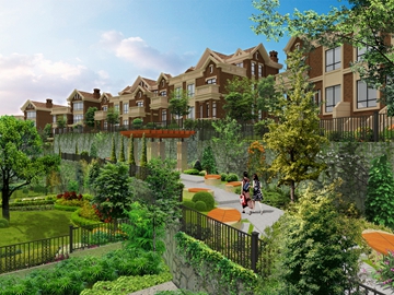 �»��ٵ���ɽ�ƺ�Ч���D